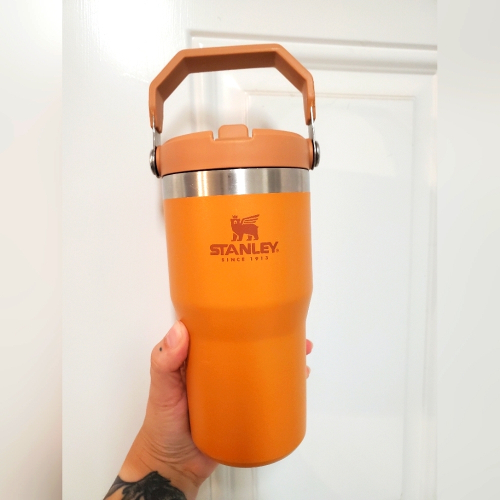 Stanley Flip Straw Tumbler 20 oz Burnt Orange